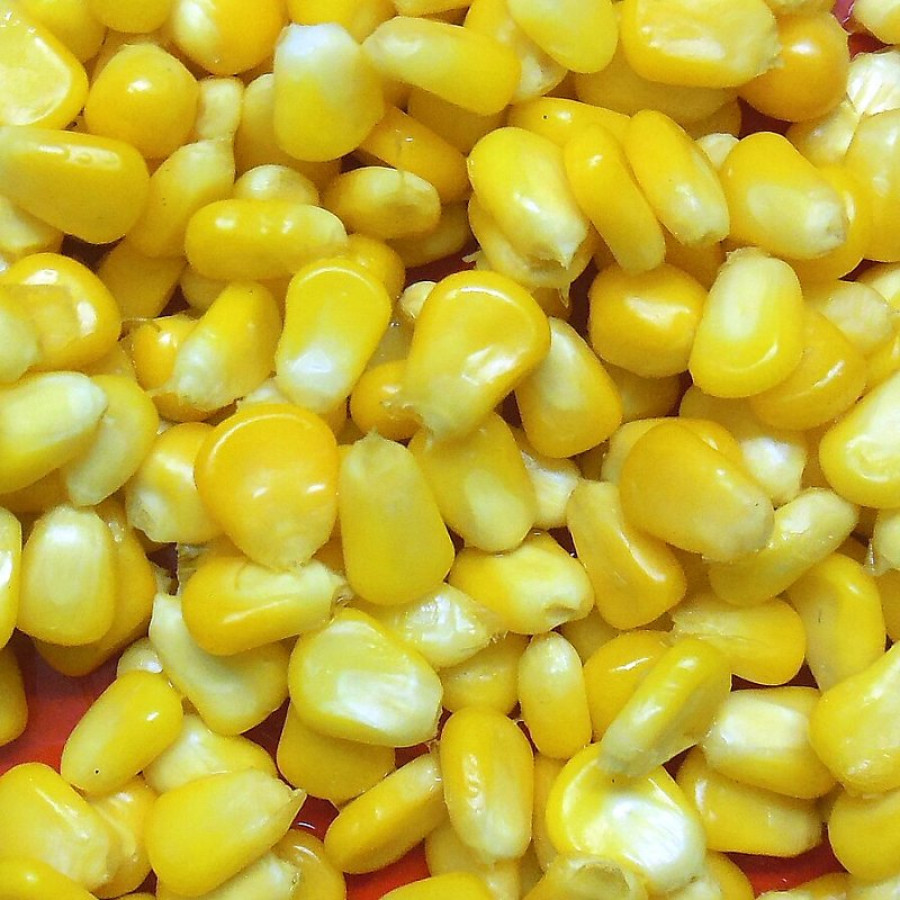 ذرة حلوة حبوب 340 جم × 24