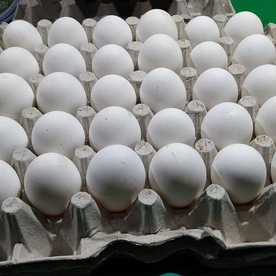 بيض أبيض كبير 30 حبة - المدينة