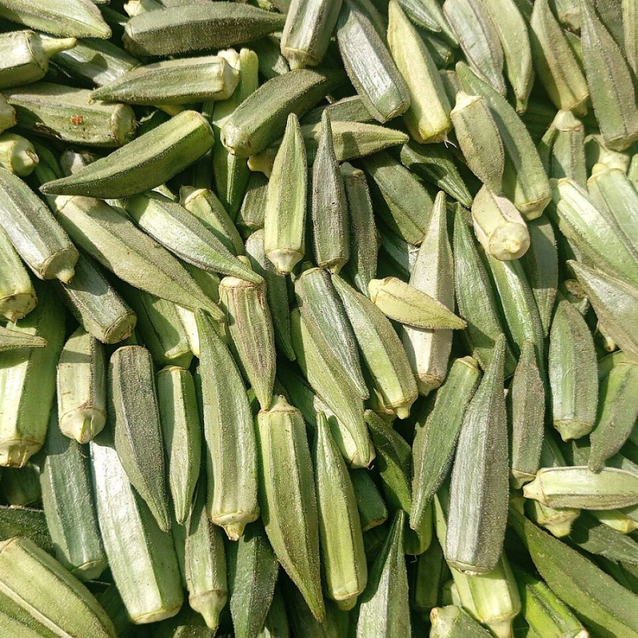 بامية زيرو 400 جم × 20