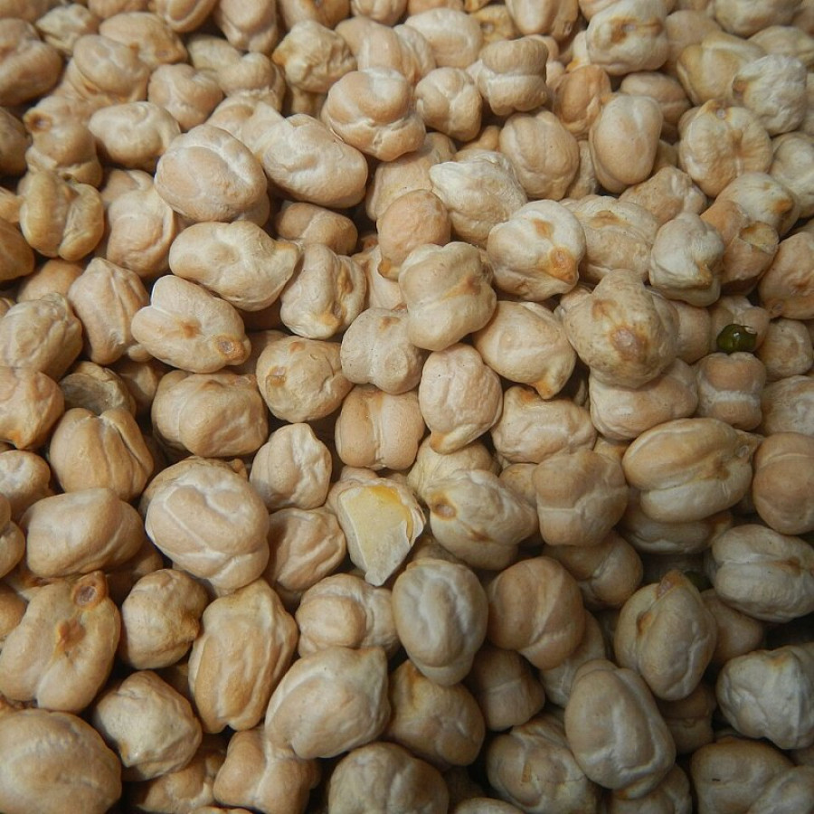 حمص حب 1 كجم × 12