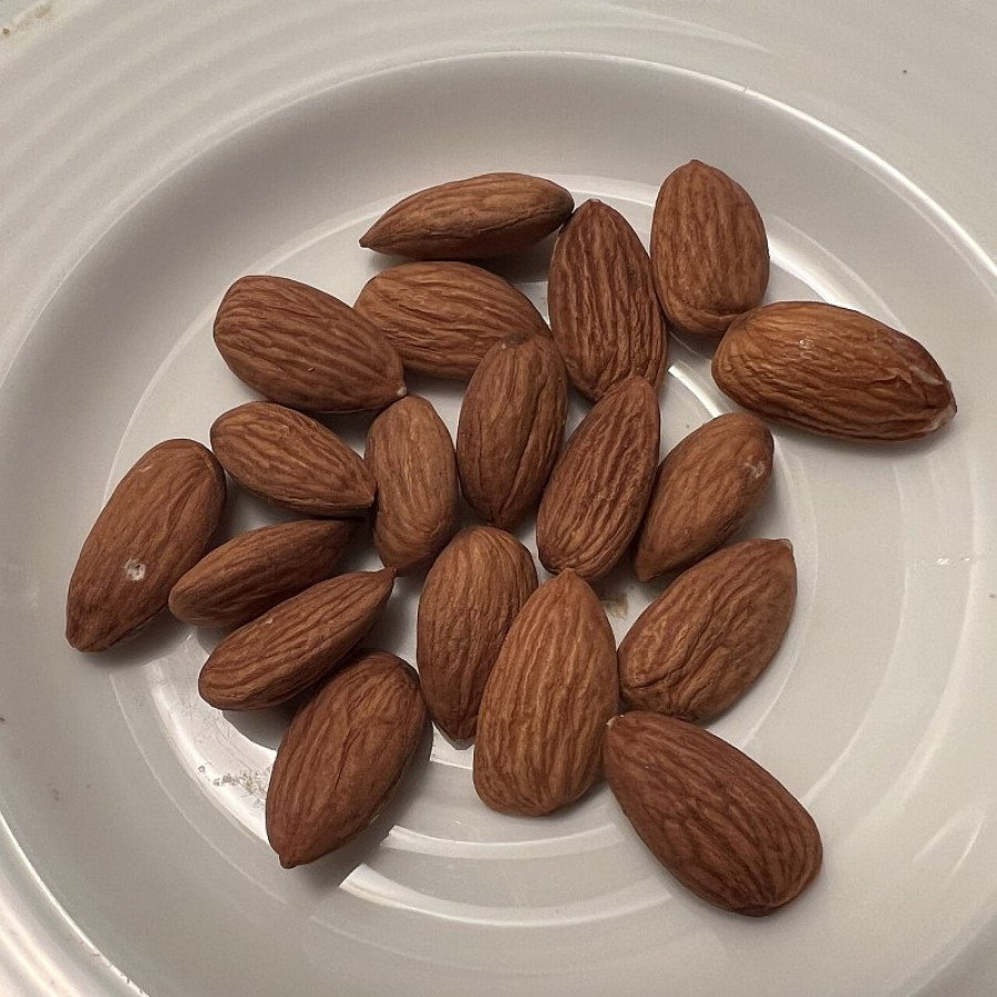 لوز ني 1 كجم × 10